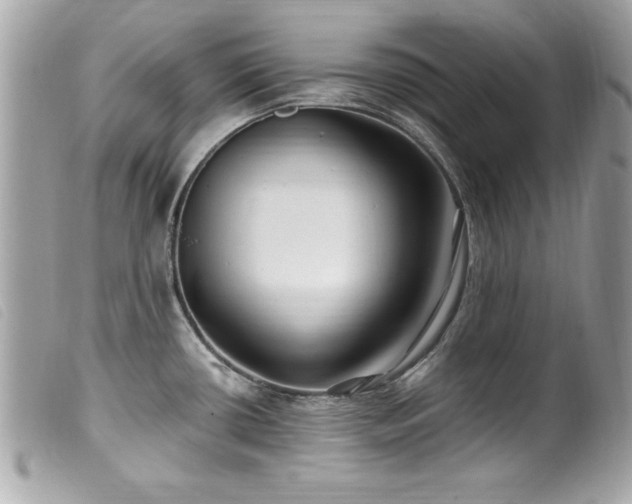 X0000100211434200805301316