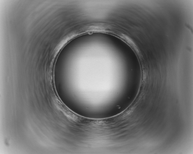 X0000100211435200805301316