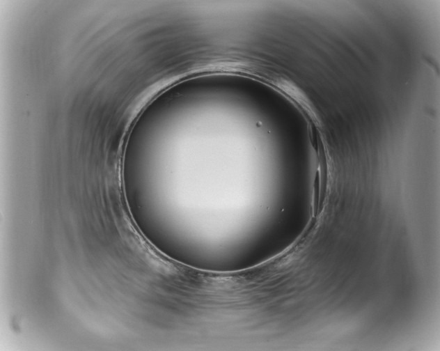 X0000100211436200805301316