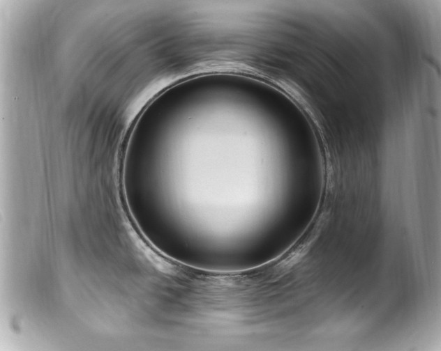 X0000100211438200805301316