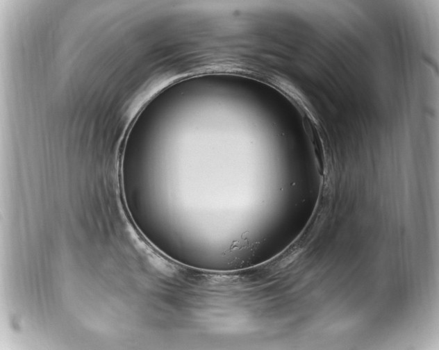 X0000100211439200805301316