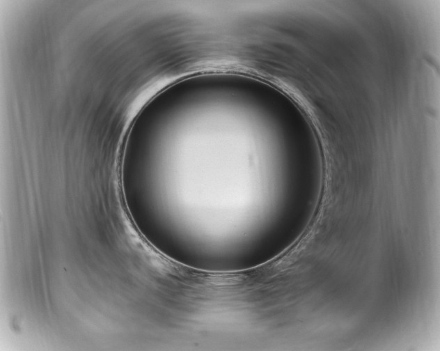 X0000100211440200805301316