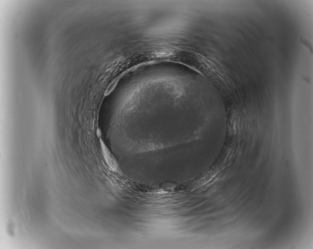 X0000100211441200805301316