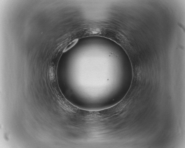 X0000100211442200805301316
