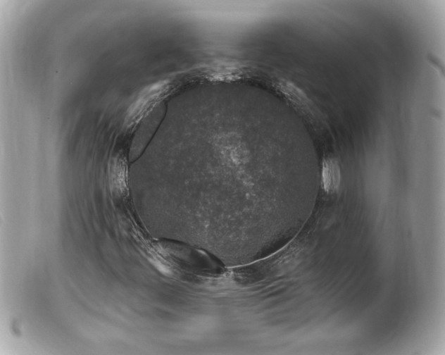 X0000100211444200805301316