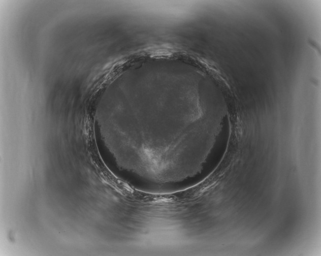 X0000100211445200805301315