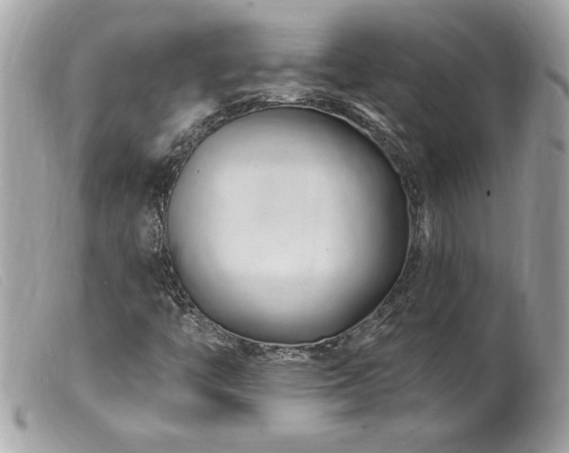 X0000100211446200805301315
