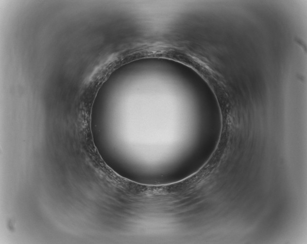 X0000100211447200805301315