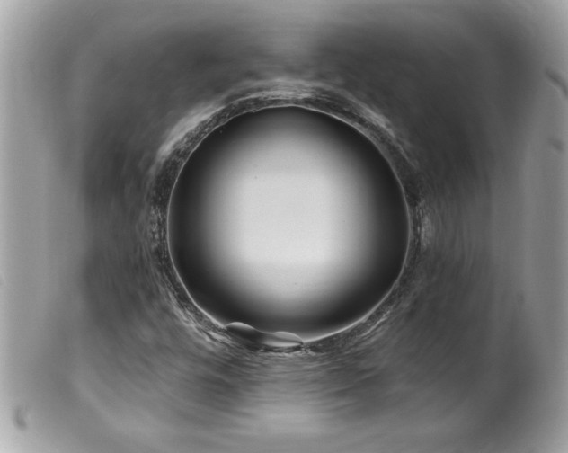 X0000100211448200805301315