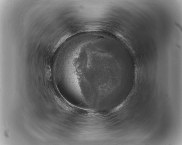 X0000100211449200805301315