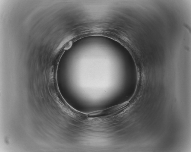 X0000100211450200805301315