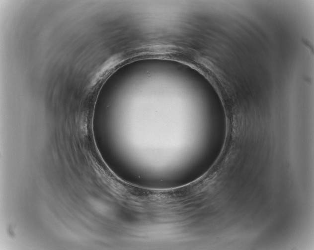 X0000100211451200805301315