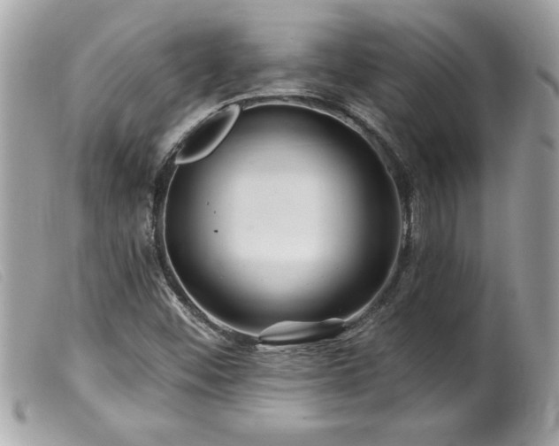 X0000100211452200805301315