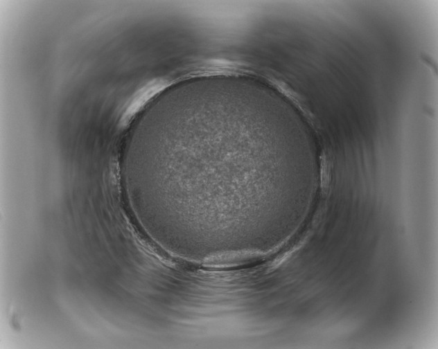 X0000100211453200805301315