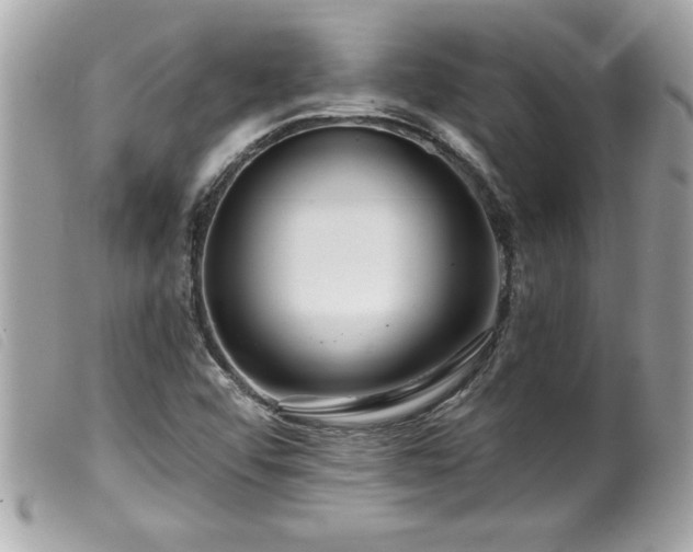 X0000100211456200805301315