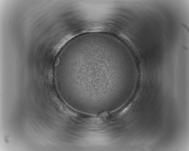 X0000100211457200805301315