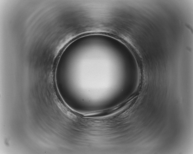 X0000100211460200805301315
