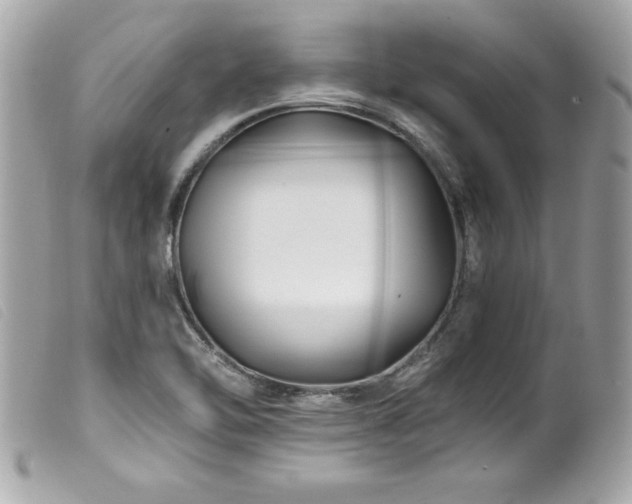 X0000100211462200805301315
