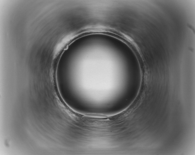 X0000100211464200805301315