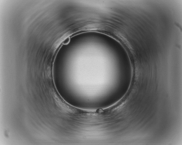 X0000100211465200805301315