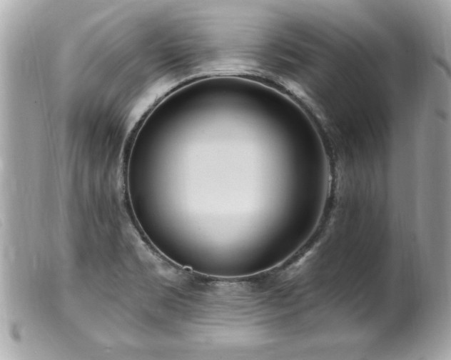 X0000100211469200805301315