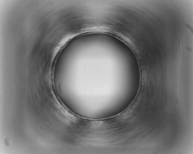 X0000100211470200805301315