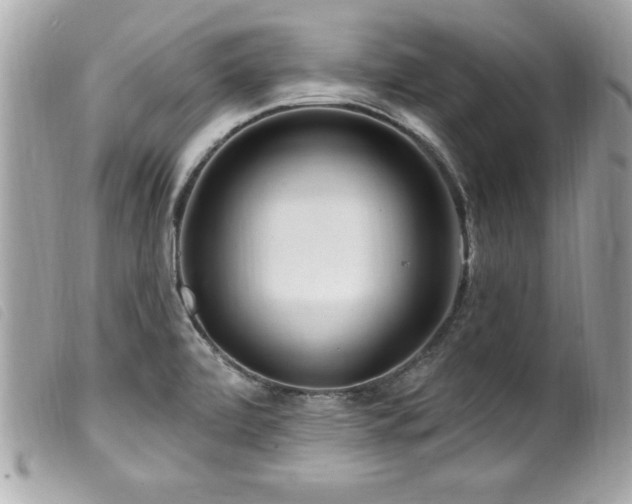 X0000100211472200805301315