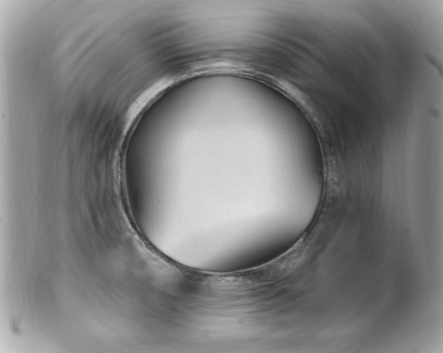 X0000100211474200805301315