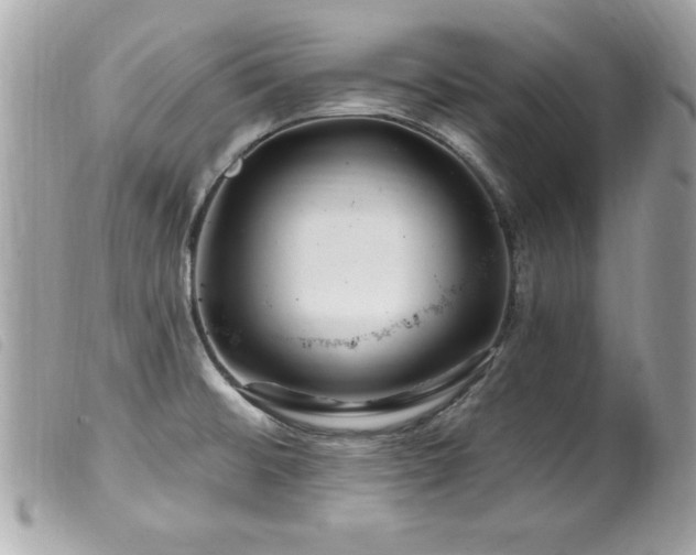 X0000100211476200805301315