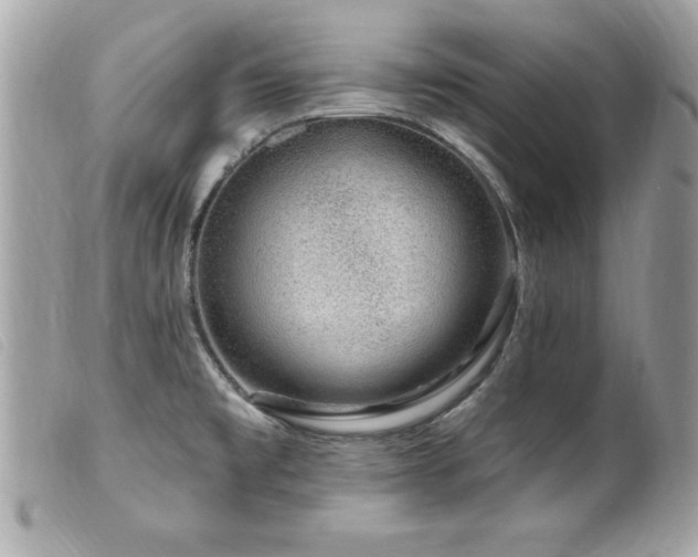 X0000100211477200805301315