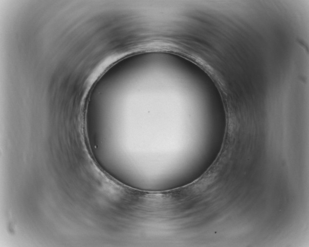 X0000100211478200805301315