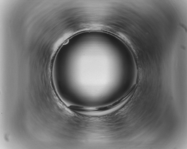 X0000100211480200805301315