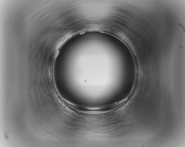 X0000100211481200805301315