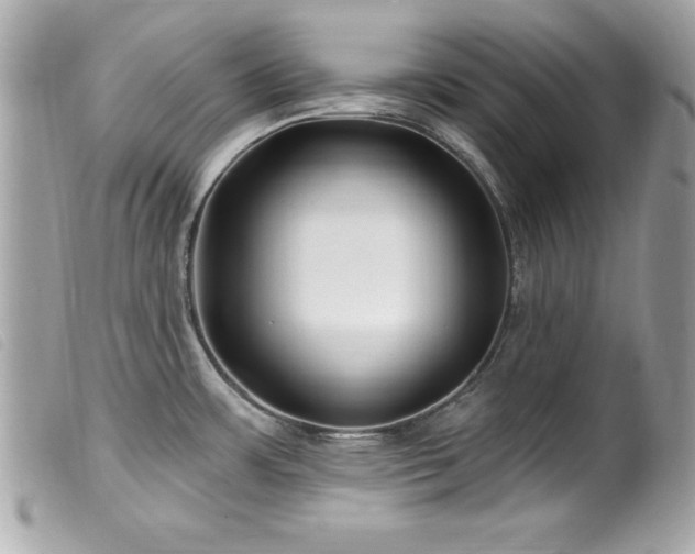 X0000100211483200805301315