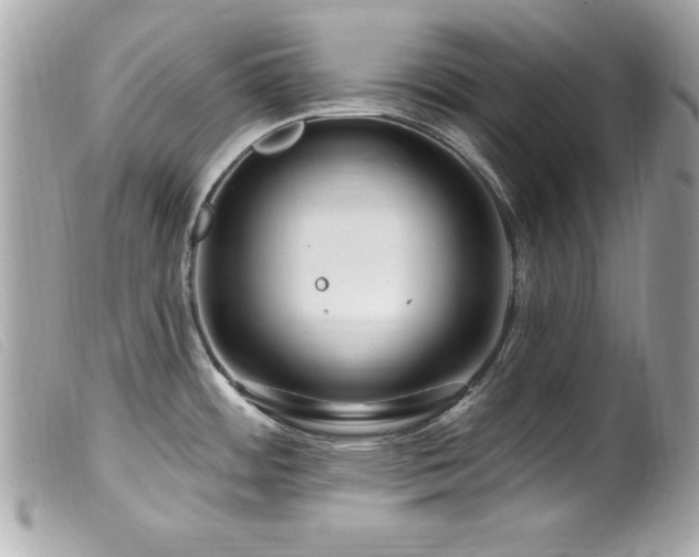 X0000100211484200805301315