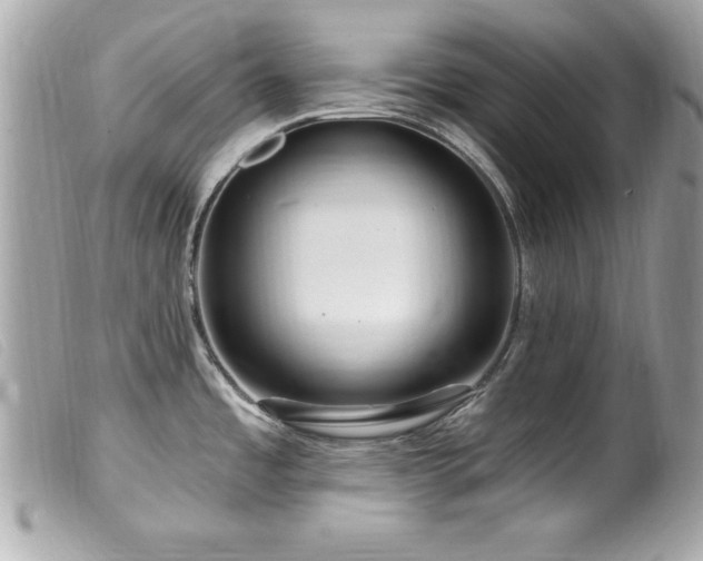 X0000100211485200805301315