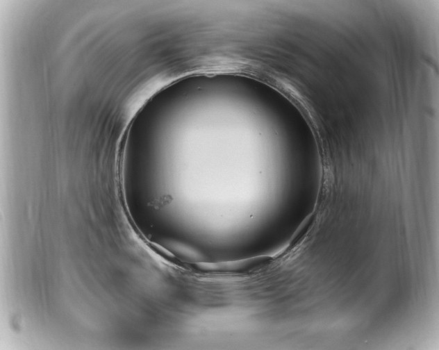 X0000100211487200805301315