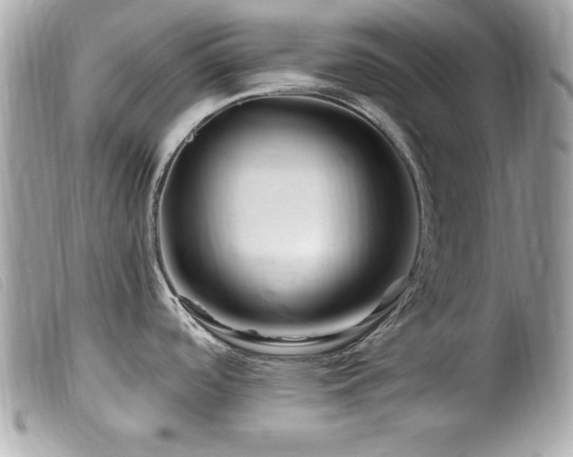 X0000100211488200805301315