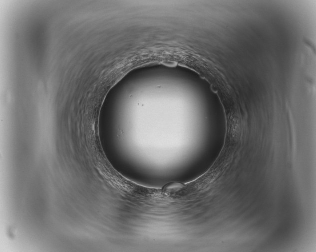 X0000100211489200805301314