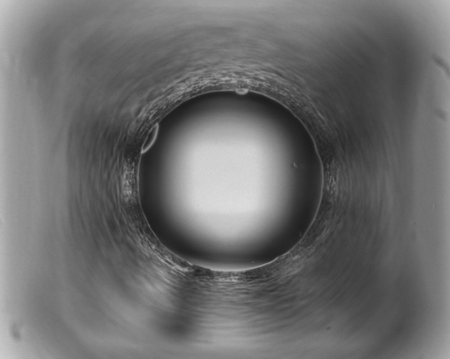 X0000100211490200805301314