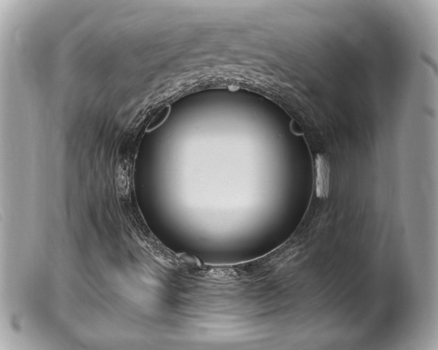 X0000100211491200805301314