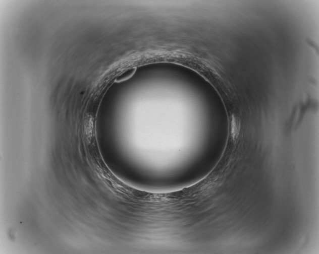 X0000100211492200805301314