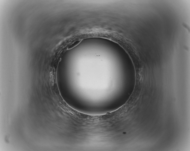 X0000100211493200805301314