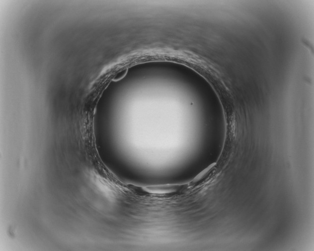 X0000100211494200805301314