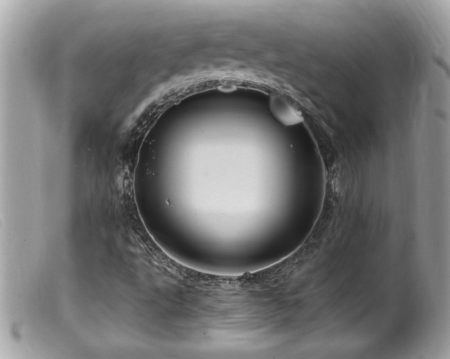 X0000100211495200805301314
