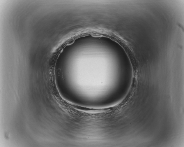 X0000100211496200805301314