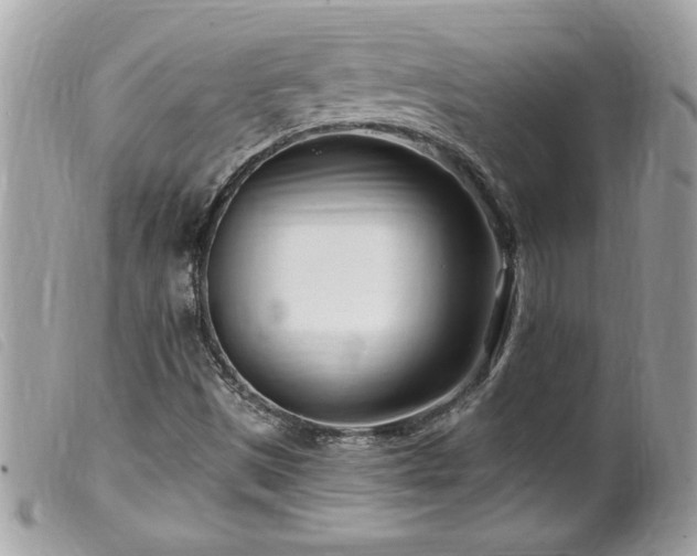 X0000100211497200805301314