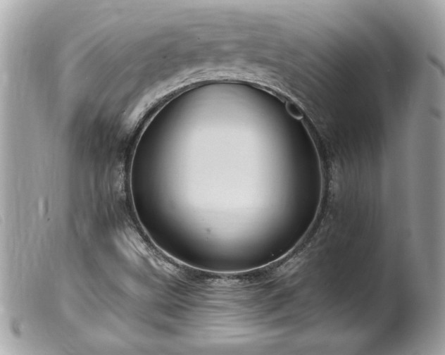X0000100211499200805301314