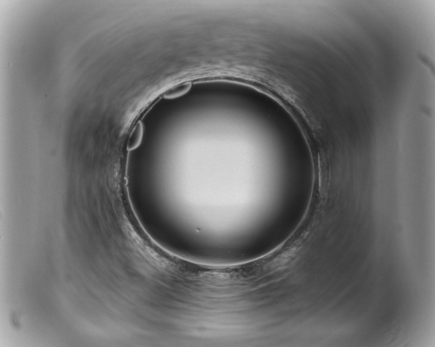 X0000100211500200805301314
