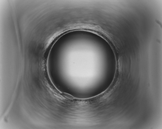 X0000100211501200805301314